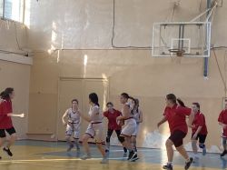 IMG_6205